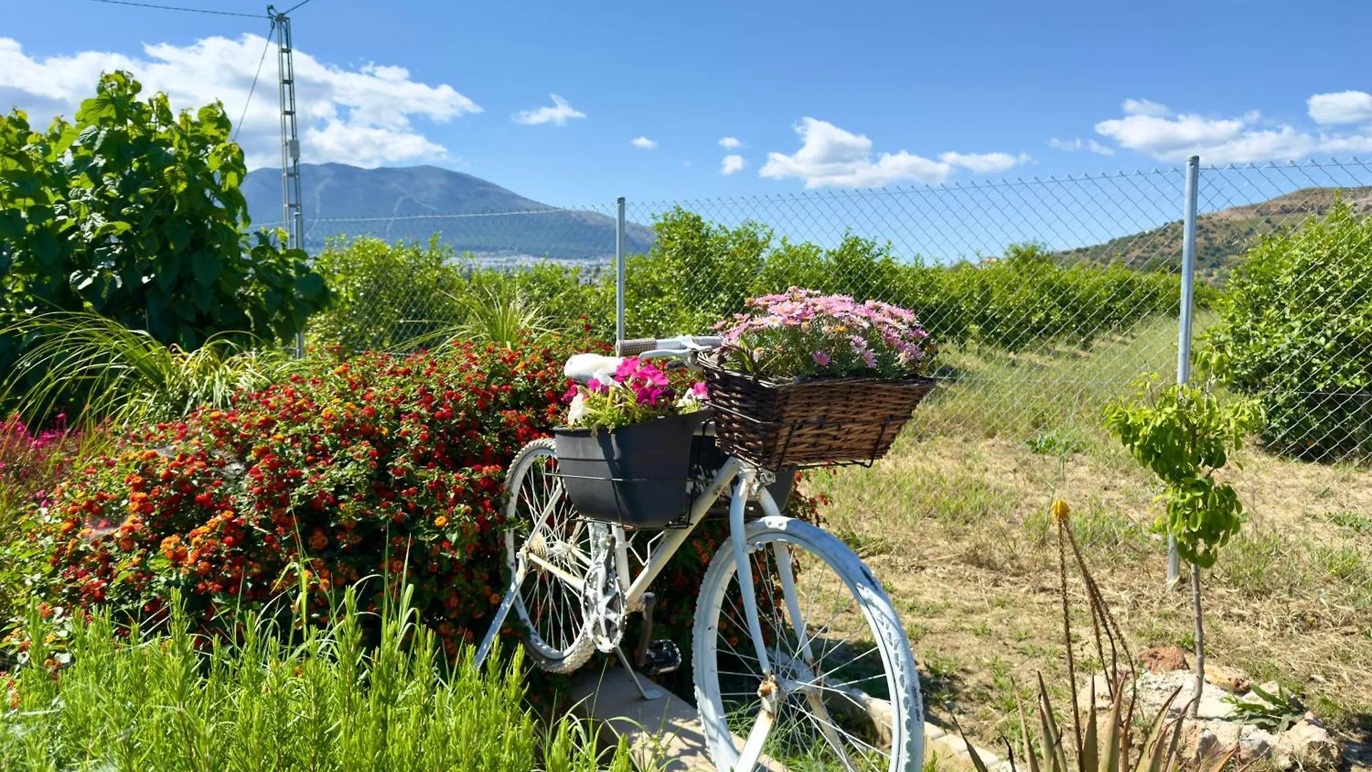 Finca La Parcela - Casa Rural Альхаурин-эль-Гранде
